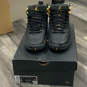 Air Jordan 12s retro